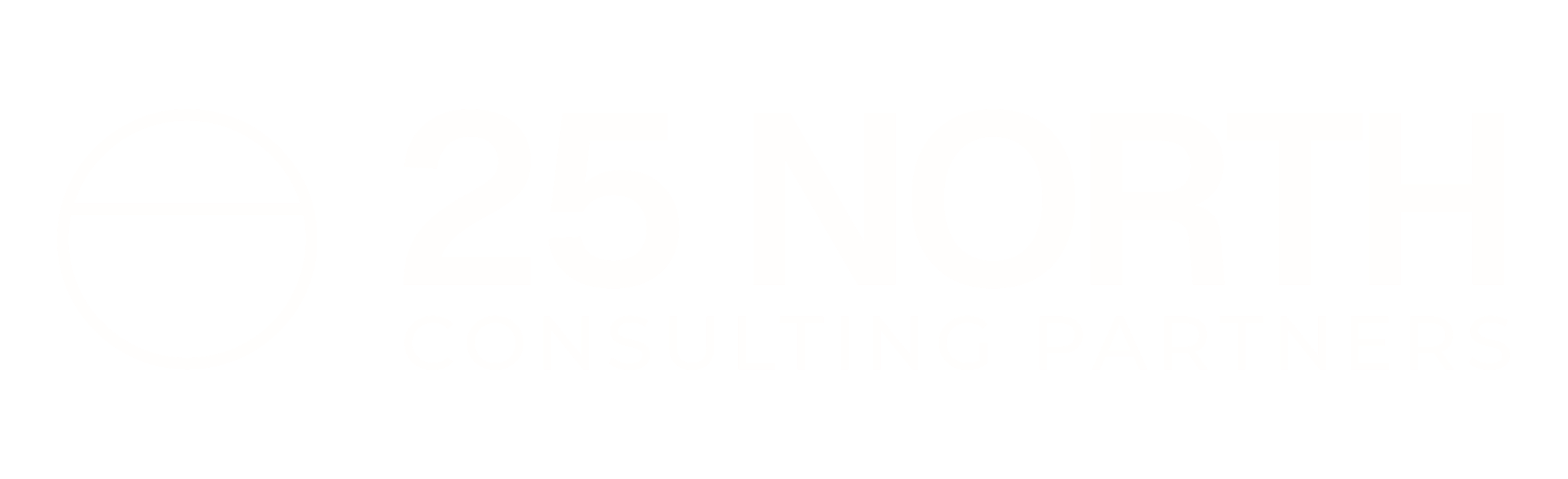 25 North Consulting Partners
